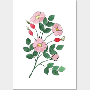 Wild Roses with Rosehips Watercolor Illustration Posters and Art